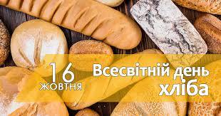 564216551_1562418041873598_4857851764535050281_n